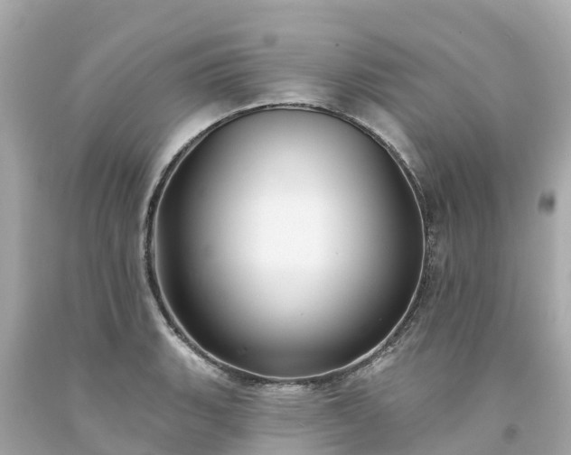 X0000094191135200711021022