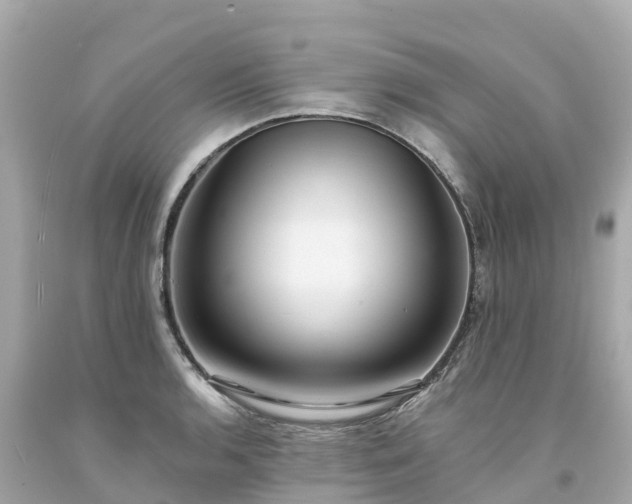 X0000094191136200711021022