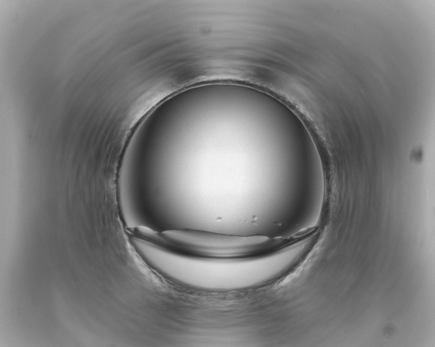 X0000094191137200711021022