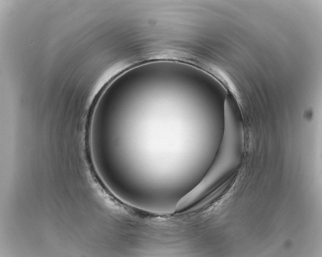 X0000094191138200711021022
