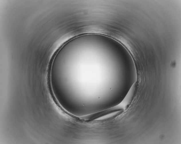 X0000094191139200711021022