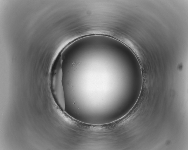 X0000094191140200711021022