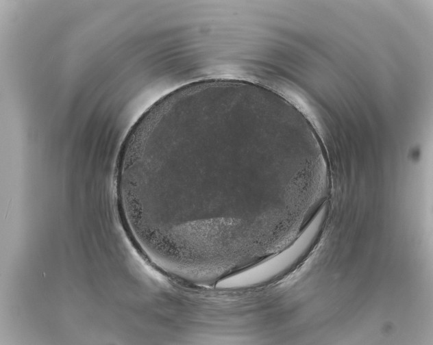 X0000094191141200711021022