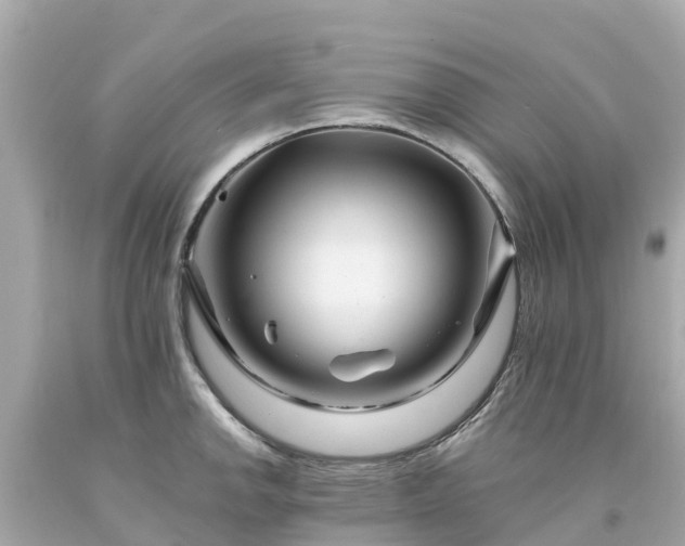 X0000094191142200711021022