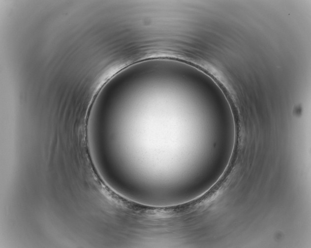 X0000094191145200711021022