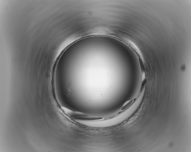 X0000094191146200711021022