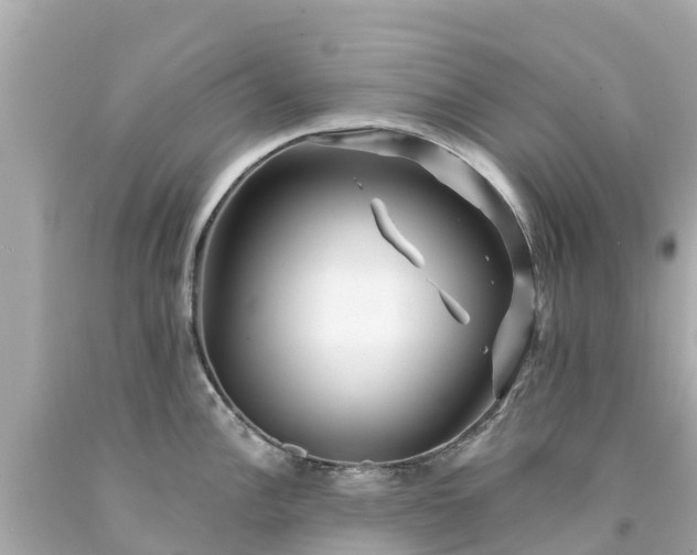 X0000094191148200711021022