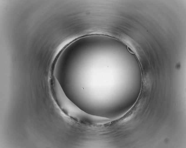 X0000094191149200711021022