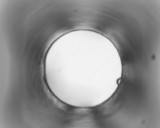 X0000094191150200711021022