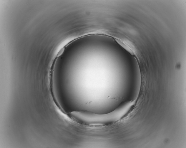 X0000094191151200711021022