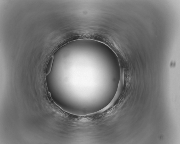 X0000094191153200711021021
