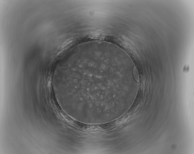 X0000094191154200711021021