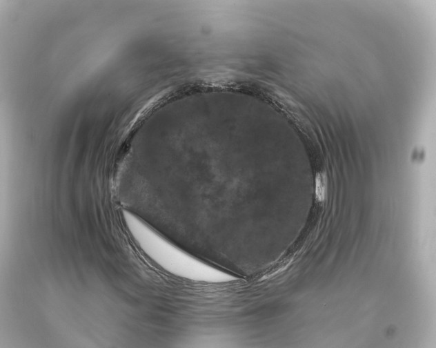 X0000094191155200711021021