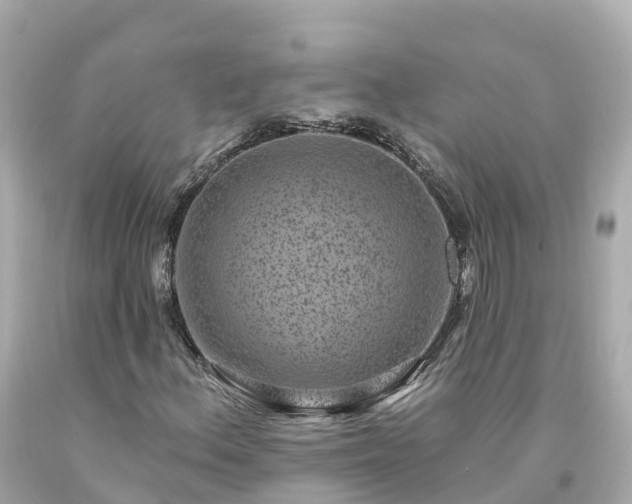 X0000094191156200711021021