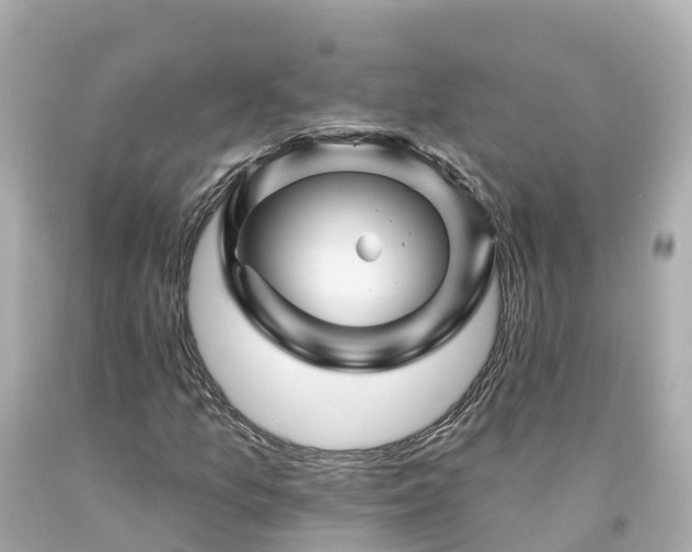 X0000094191157200711021021