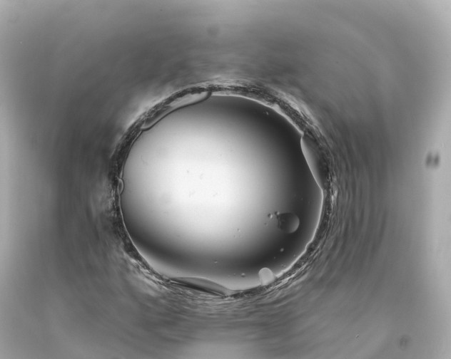 X0000094191160200711021021