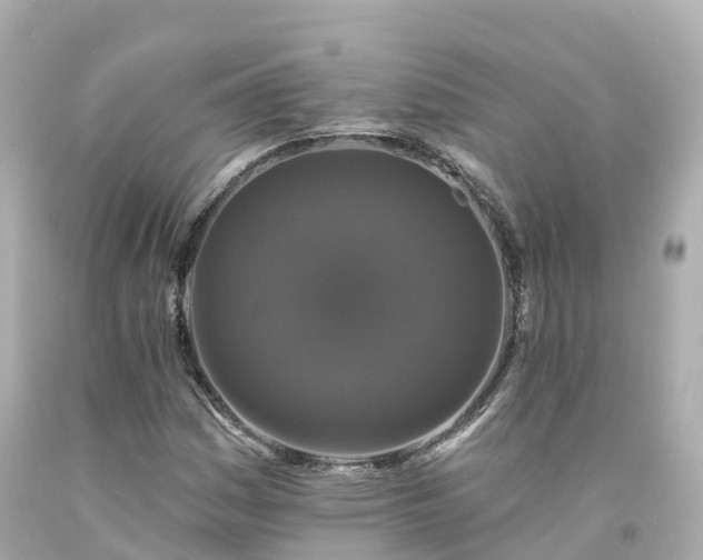 X0000094191161200711021021