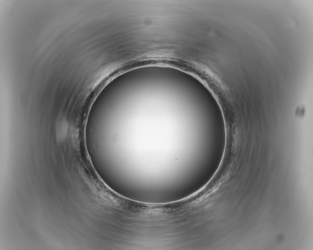 X0000094191162200711021021