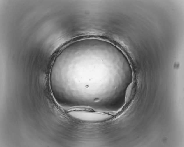 X0000094191163200711021021