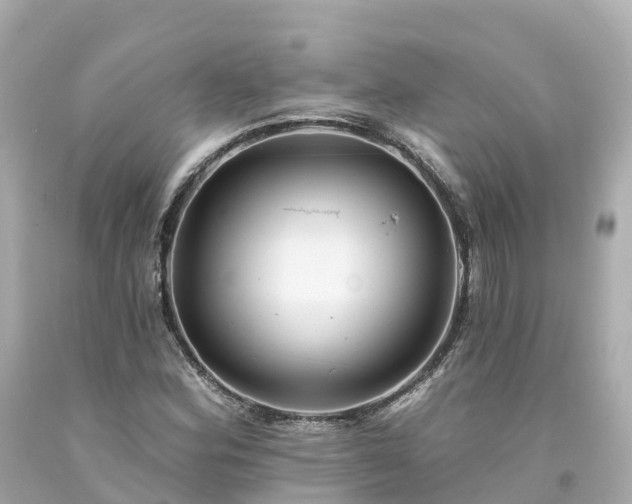 X0000094191164200711021021