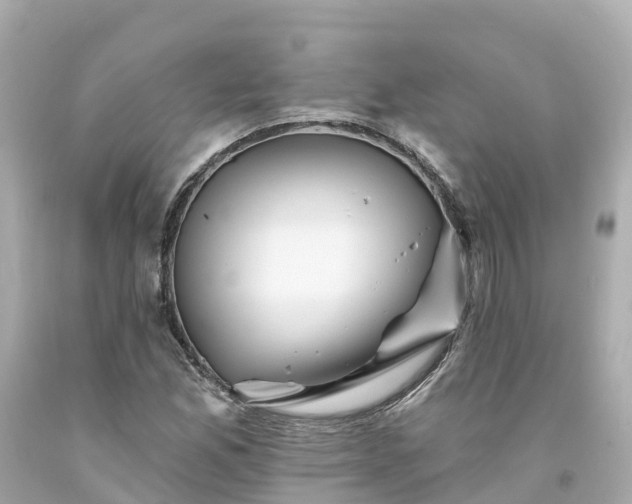 X0000094191165200711021021