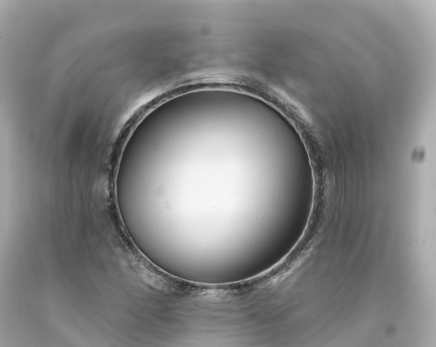 X0000094191166200711021021