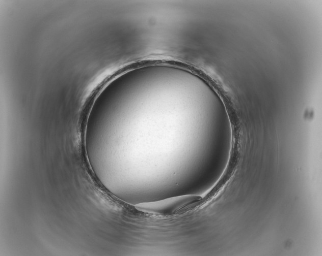 X0000094191167200711021021