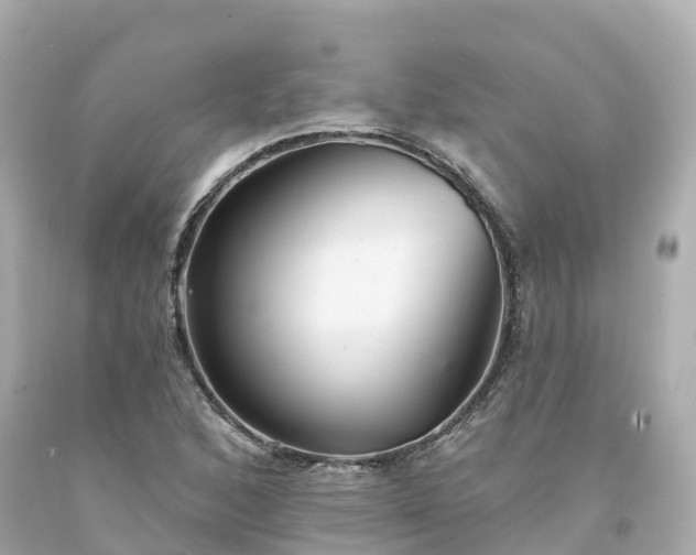 X0000094191168200711021021
