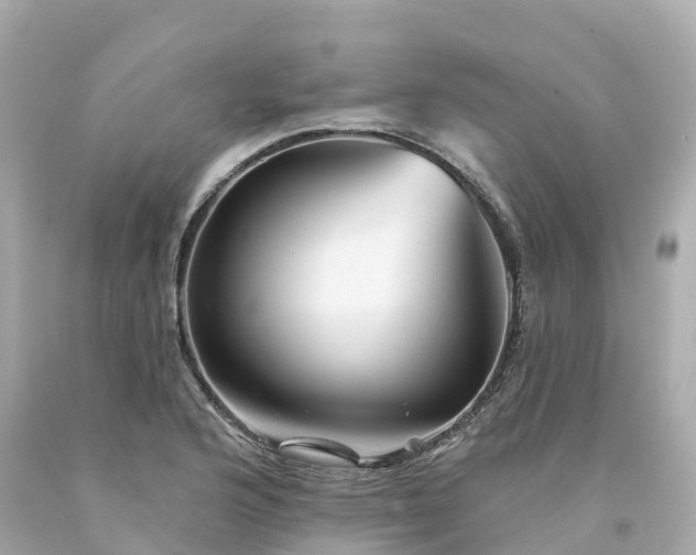 X0000094191176200711021021