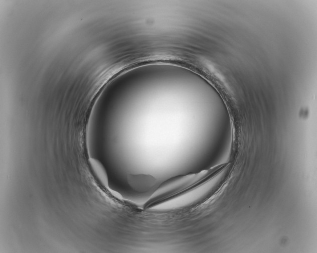 X0000094191177200711021021