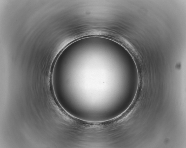 X0000094191178200711021021