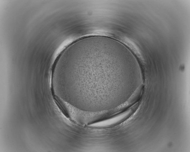 X0000094191180200711021021