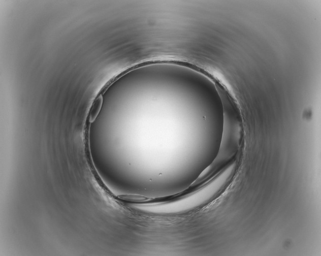 X0000094191181200711021021