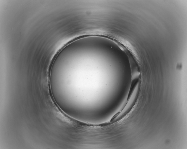 X0000094191184200711021021