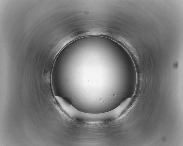 X0000094191185200711021021