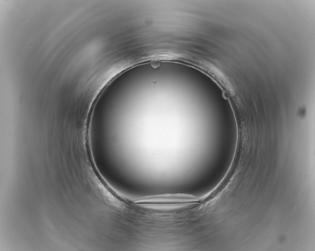 X0000094191186200711021021