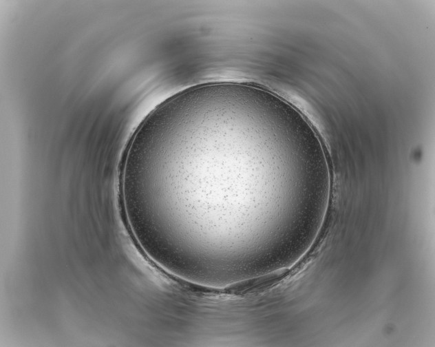X0000094191187200711021021