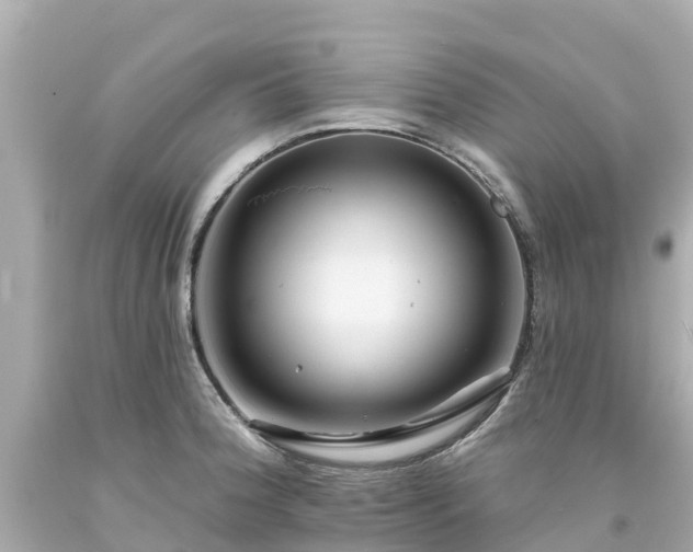 X0000094191188200711021021