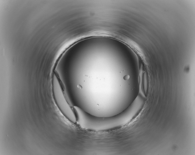 X0000094191192200711021021