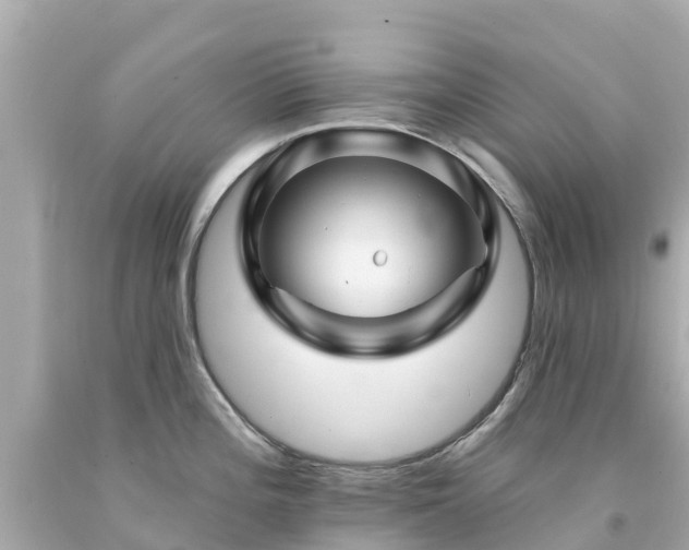 X0000094191196200711021021
