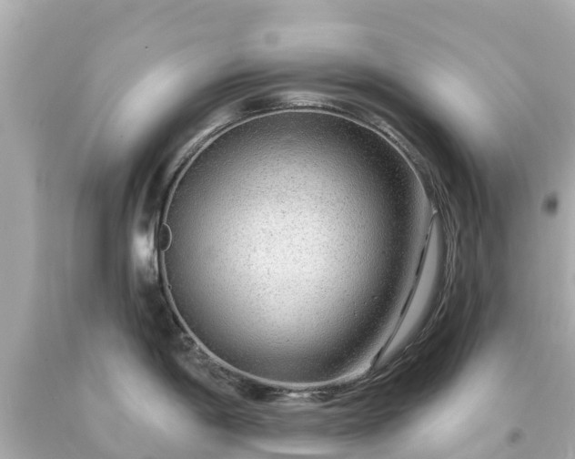X0000094191198200711021021