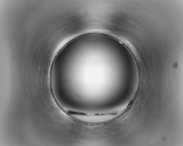 X0000094191199200711021021