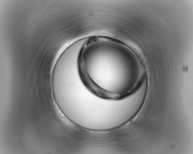 X0000094191200200711021021