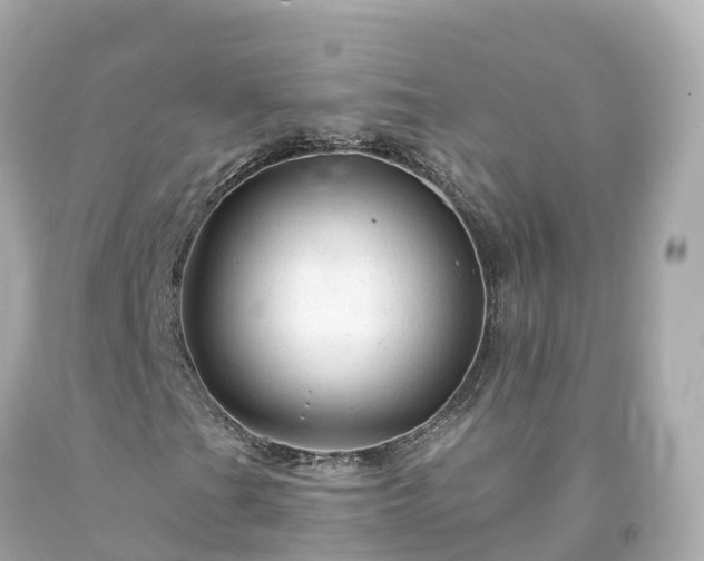 X0000094191201200711021020