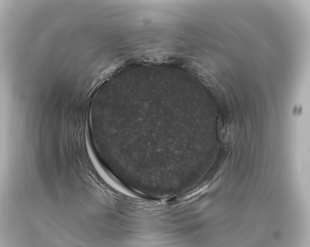 X0000094191202200711021020