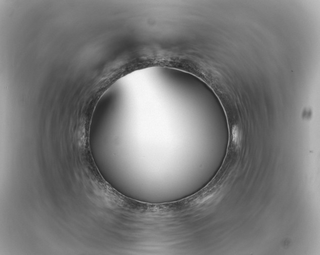 X0000094191203200711021020