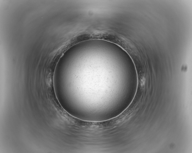 X0000094191204200711021020