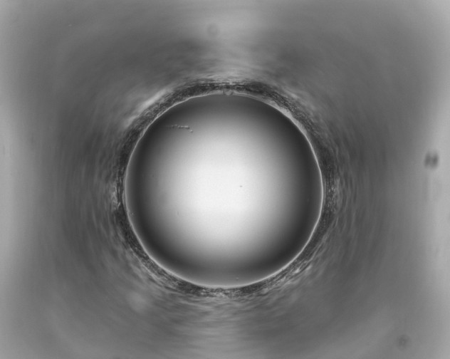 X0000094191205200711021020