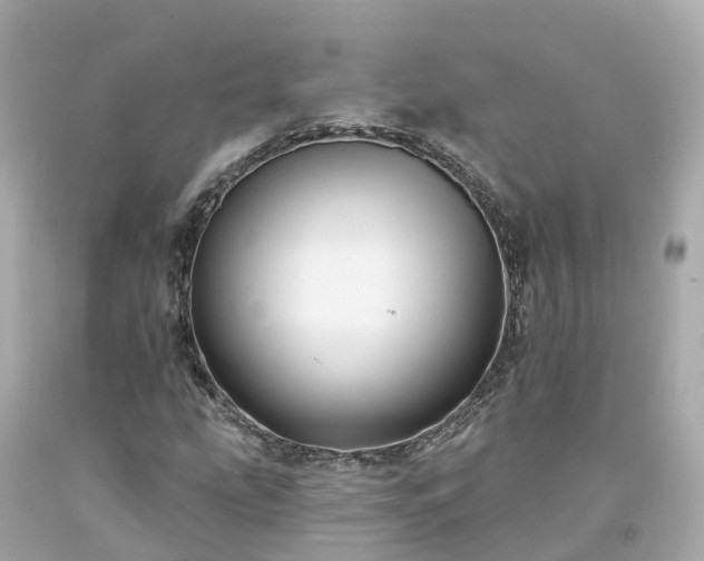 X0000094191207200711021020