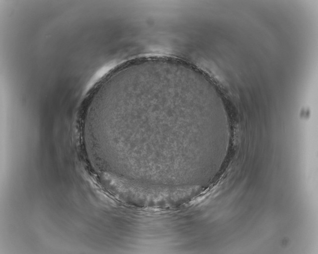 X0000094191208200711021020